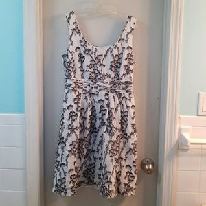 Petite Loft Sundress